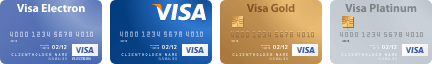 онлайн-оплата картой visa